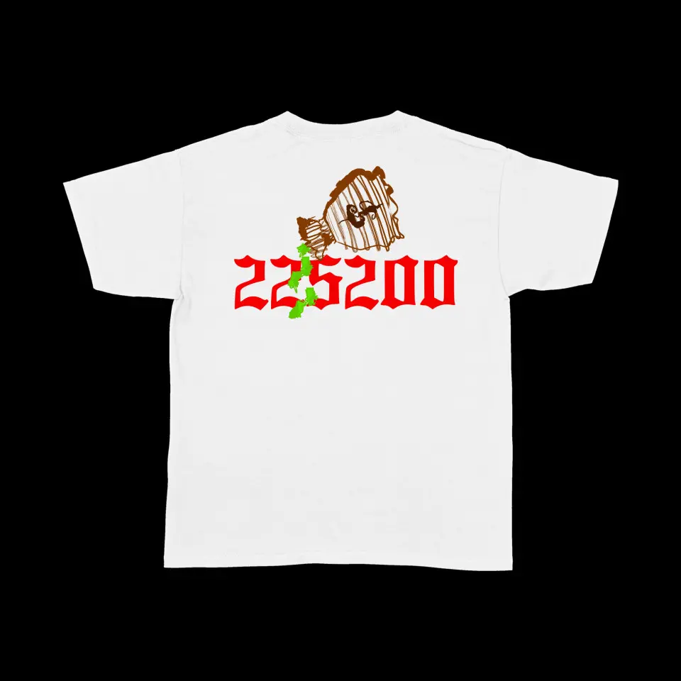 damaged-white478.jpg